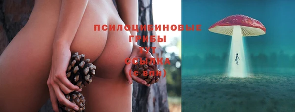 мдпв Елабуга