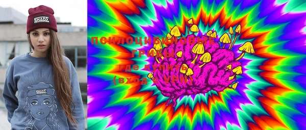 PSILOCYBIN Янаул