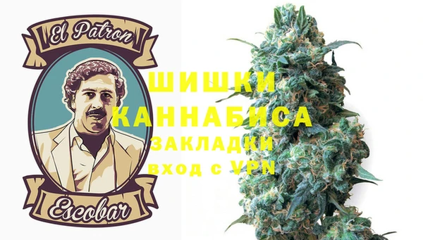 мдпв Елабуга