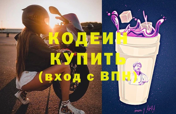 мдпв Елабуга