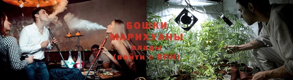 каннабис Дмитриев