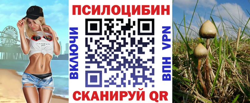 купить закладку  Миньяр  Галлюциногенные грибы Cubensis 