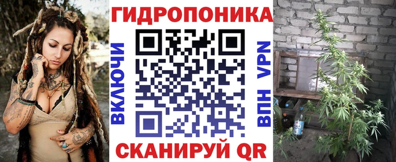 Шишки марихуана семена  Миньяр 